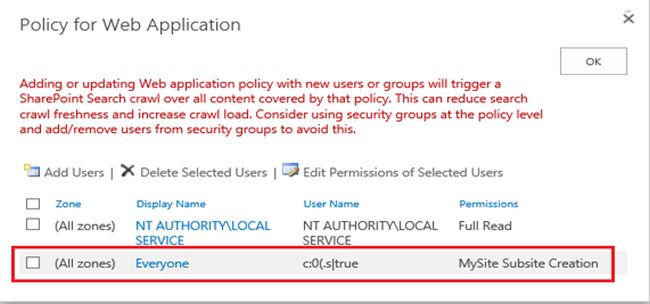 policy for web application